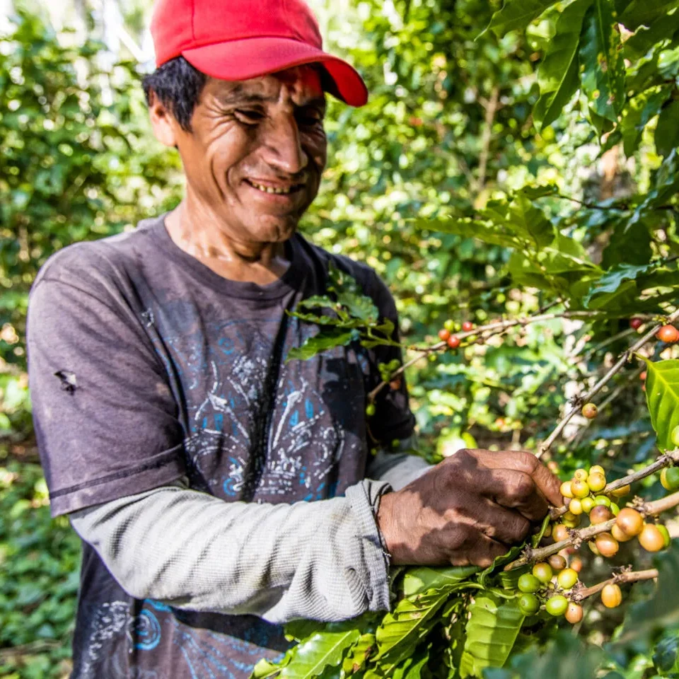 Boliviaanse Koffieboer