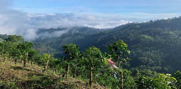 Lees meer over het artikel Op reis in Colombia