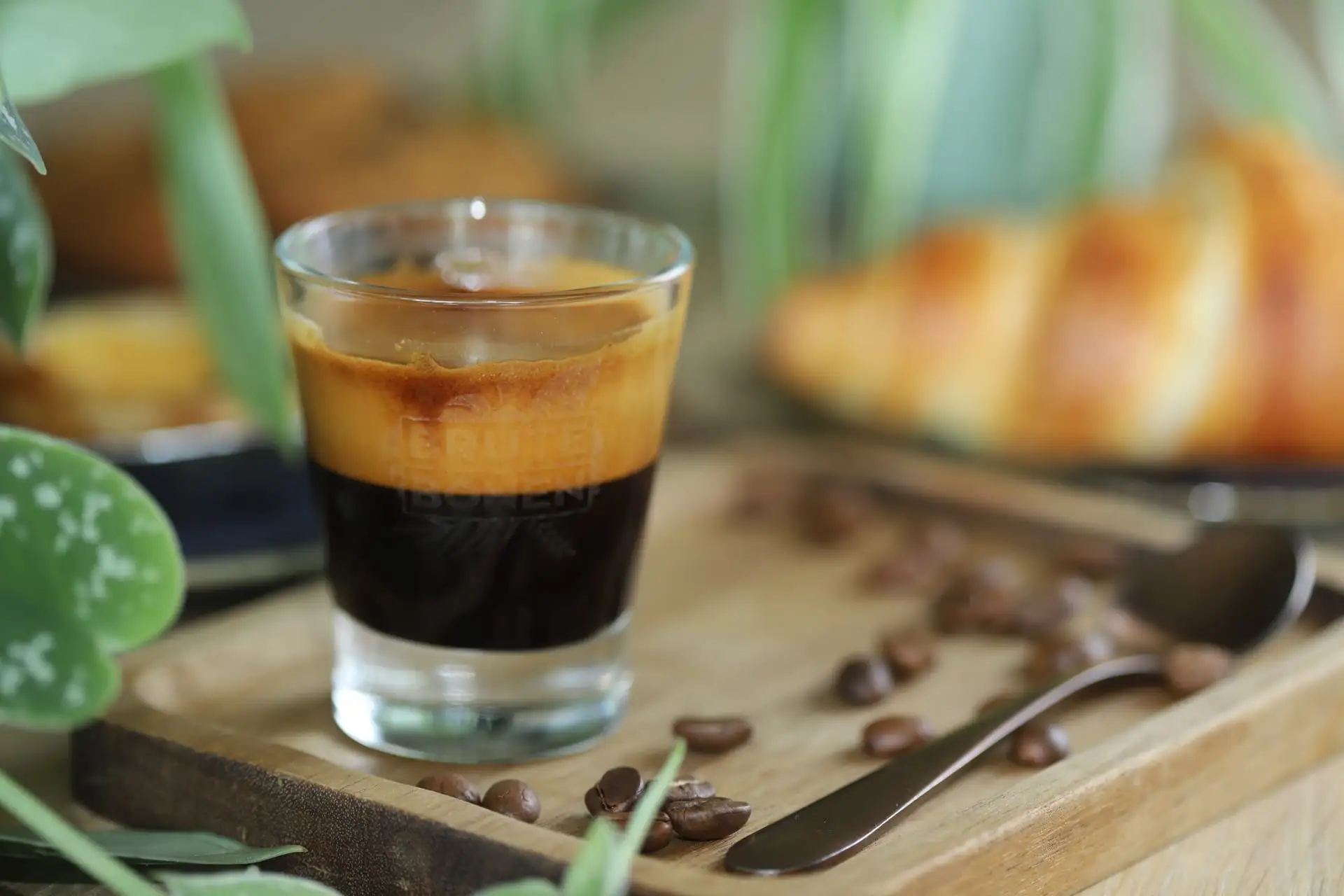 Lees meer over het artikel Crema: wat is het en wat zegt het over je espresso?