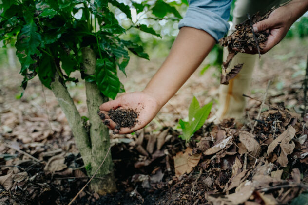 Lees meer over het artikel  💃 Dansen op een composthoop