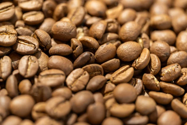 Lees meer over het artikel WANNEER VERS TE VERS IS